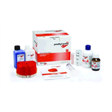 PROTHYL PRESS EVO KIT DPV C711061