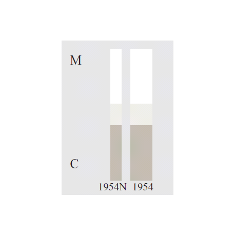 STRISCE SOF-LEX 3M 1954