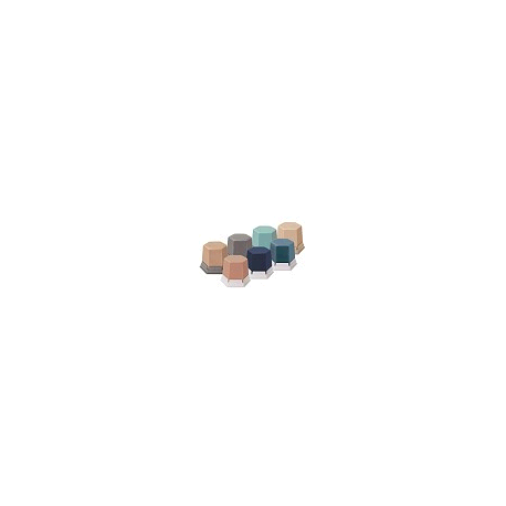 CERA 497.1300 GEO MENTA